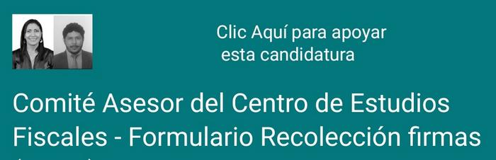 candidatura_comite_asesor_cef_2022