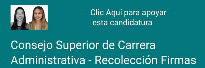 candidatura_consejo_superior_carrera_nivel_central_2022